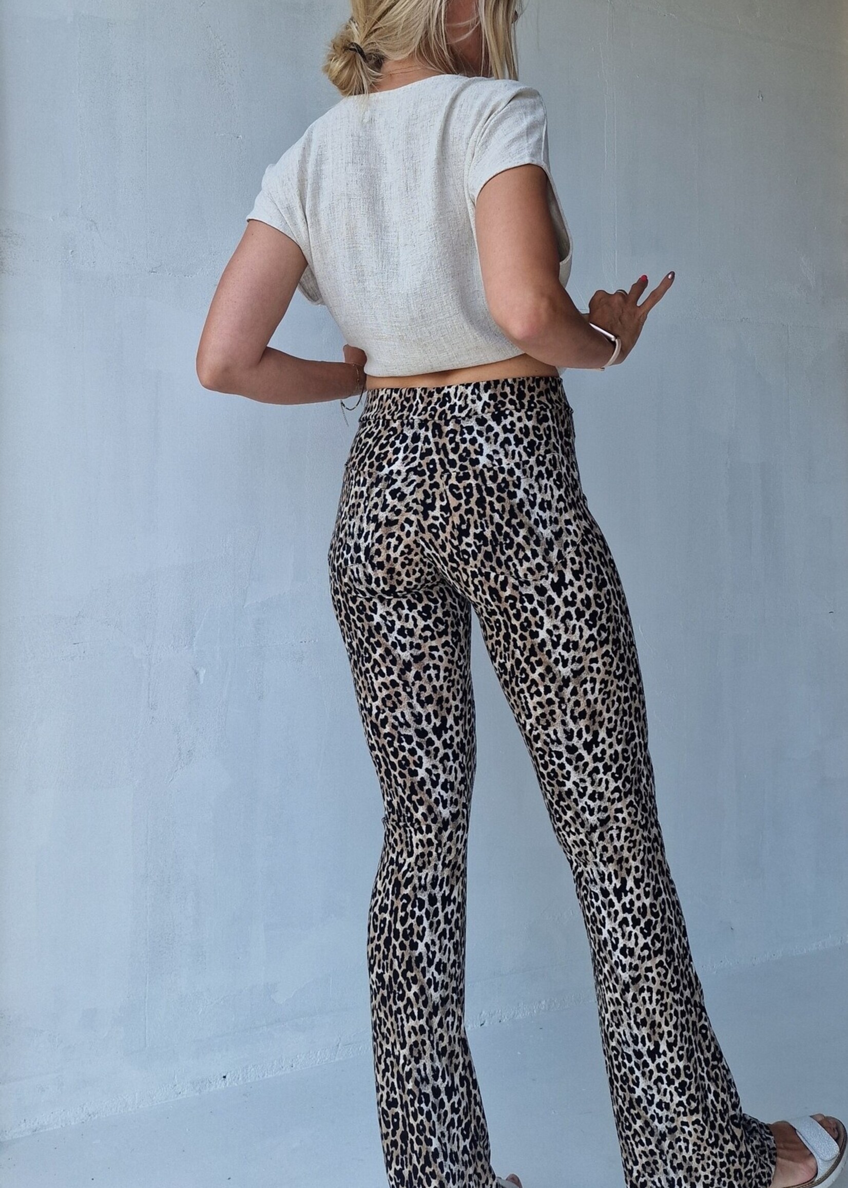 MadameLiz Flared pants | leopardprint | tall | lengtemaat 32, 34, 36