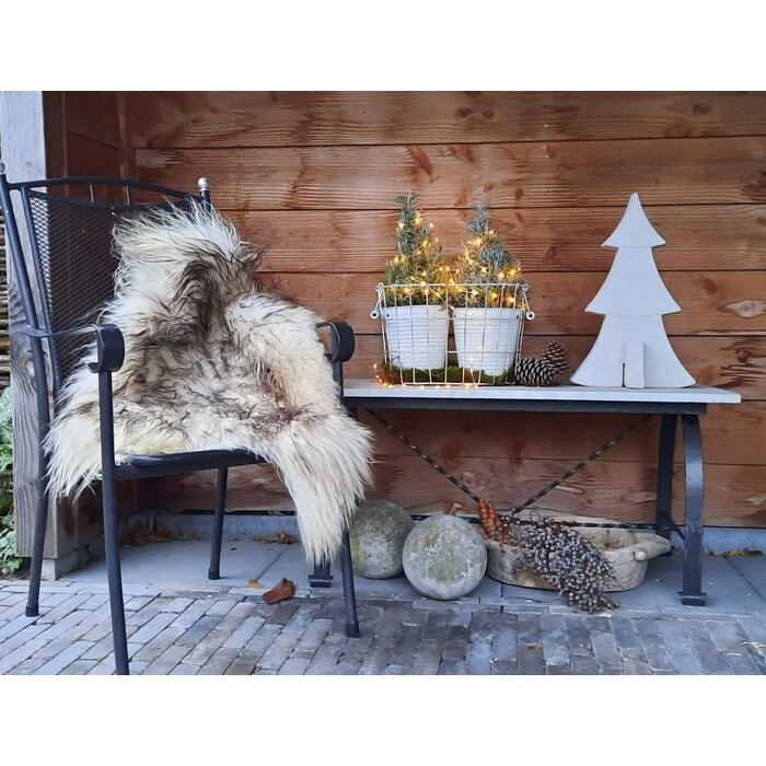 Lavandula angustifolia 'Christmas Tree' - Lavendel  P15