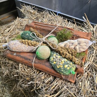 Dachziegel mit Vogelfutter