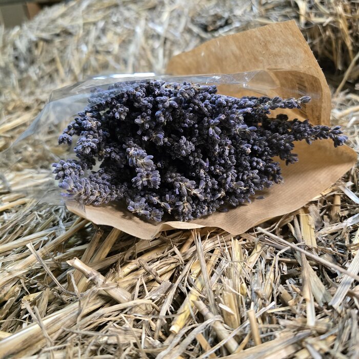 Getrockneter Lavendel 100 Gramm