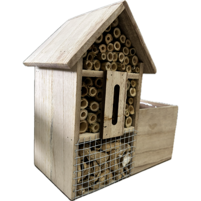 Insektenhotel mit Gaultheria Procumbens 'Big Berry'