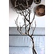 Trunk tak 90 cm Trunk tak 90 cm