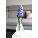 Hyacinth Blauw Hyacinth Blauw