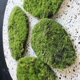 Kunstmos - 4 Bolletjes Kunstmos - 4 Bolletjes