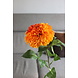 Dahlia 80 cm Dahlia 80 cm