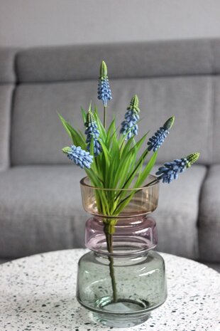 Blauwe druifjes - witte druifjes Blauwe druifjes - witte druifjes