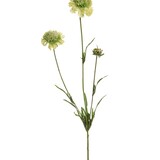Kunstbloem Scabiosa Kunstbloem Scabiosa