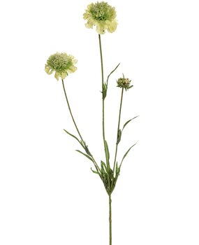 Kunstbloem Scabiosa Kunstbloem Scabiosa