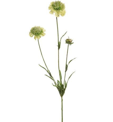 Zijden kunstbloem Scabiosa Zijden kunstbloem Scabiosa