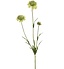 Kunstbloem Scabiosa