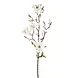 Magnolia Tak 80 cm Wit Magnolia Tak 80 cm Wit