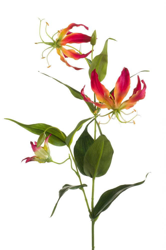 Zijden kunstbloem Gloriosa Zijden kunstbloem Gloriosa