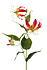 Kunstbloem Gloriosa