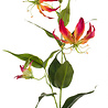 Zijden kunstbloem Gloriosa Zijden kunstbloem Gloriosa
