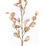 Kunstbloem Judaspenning Kunstbloem Judaspenning