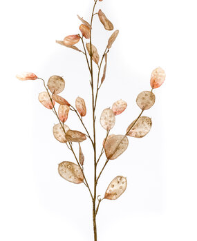 Kunstbloem Judaspenning Kunstbloem Judaspenning