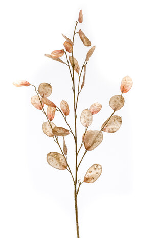 Zijden kunstbloem Judaspenning Zijden kunstbloem Judaspenning