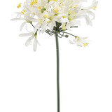Kunstbloem Agapanthus Kunstbloem Agapanthus