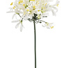 Zijden kunstbloem Witte Agapanthus - 100 cm Zijden kunstbloem Witte Agapanthus - 100 cm