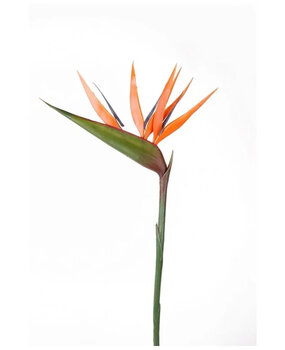 Kunstbloem Strelitzia