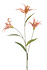 Kunstbloem Koraal Lelie Kunstbloem Koraal Lelie