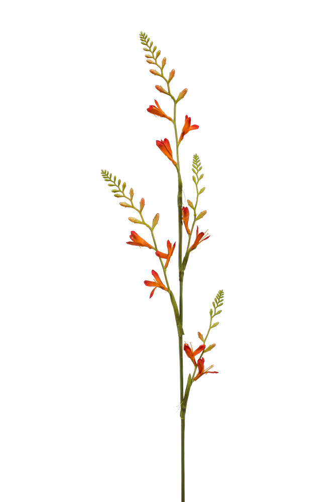 Zijden kunstbloem Monbretia