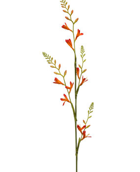 Kunstbloem Monbretia