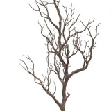 Kunstbloem Trunk tak Kunstbloem Trunk tak