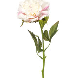 Kunstbloem Pioenroos Real Touch Kunstbloem Pioenroos Real Touch