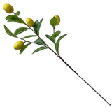 Kunstbloem Citroen tak Kunstbloem Citroen tak