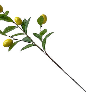 Kunstbloem Citroen tak Kunstbloem Citroen tak