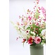 Zomers Rose - Wit Zomers Rose - Wit
