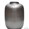 Vase of the world Vaas Artic Zilver S - Geschikt voor kunstbloemen - 29 cm
