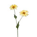 Margriet 60 cm Margriet 60 cm
