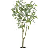 Kunstplant Eucalypthus boom Kunstplant Eucalypthus boom