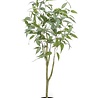 Eucalypthus boom 115cm Eucalypthus boom 115cm