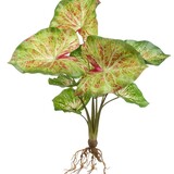 Kunstbloem Anthurium Kunstbloem Anthurium