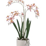 Kunstplant Orchidee met pot Kunstplant Orchidee met pot
