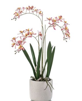 Kunstplant Orchidee met pot Kunstplant Orchidee met pot