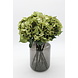 Sale boeket 2 1-Hortensia bol, per stuk Sale boeket 2 1-Hortensia bol, per stuk