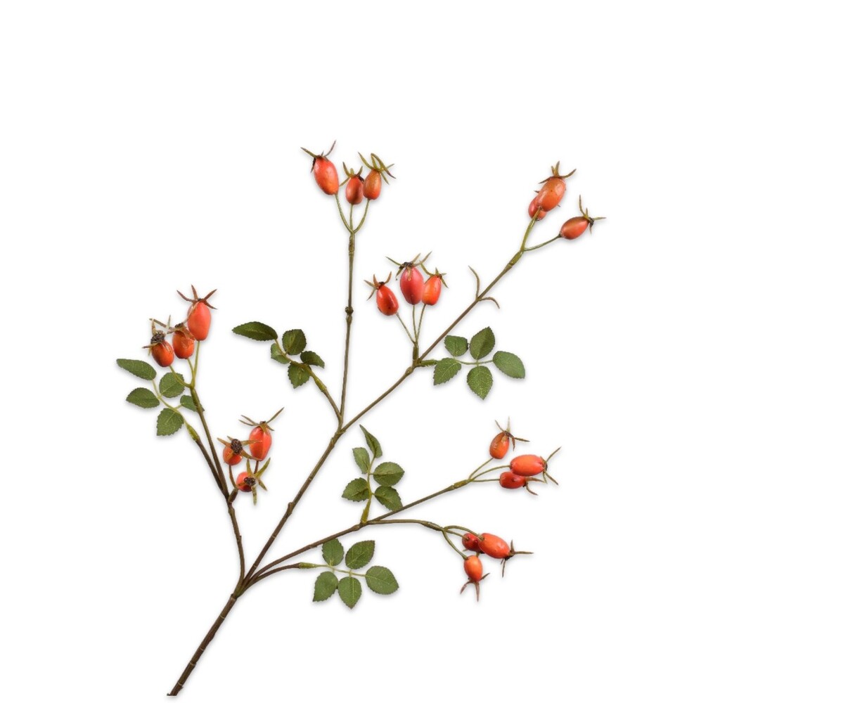 Zijden kunstbloem Rozenbottel 65cm Zijden kunstbloem Rozenbottel 65cm