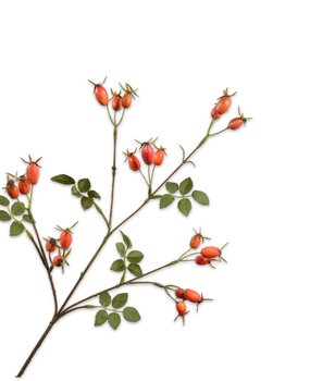 Kunstbloem Rozenbottel Kunstbloem Rozenbottel