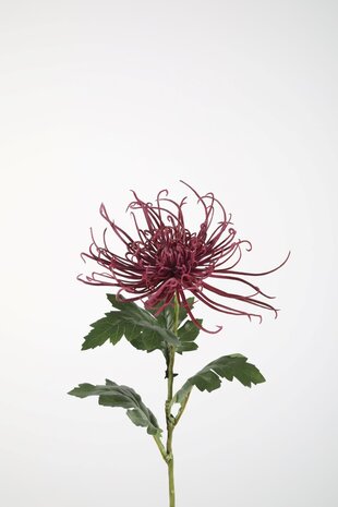 Zijden kunstbloem Chrysant Zijden kunstbloem Chrysant