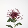 Zijden kunstbloem Chrysant Zijden kunstbloem Chrysant
