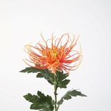 Kunstbloem Chrysant Kunstbloem Chrysant