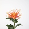 Zijden kunstbloem Chrysant oranje 75 cm Zijden kunstbloem Chrysant oranje 75 cm