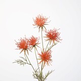 Kunstbloem Grevillea Kunstbloem Grevillea