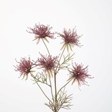 Kunstbloem Grevillea