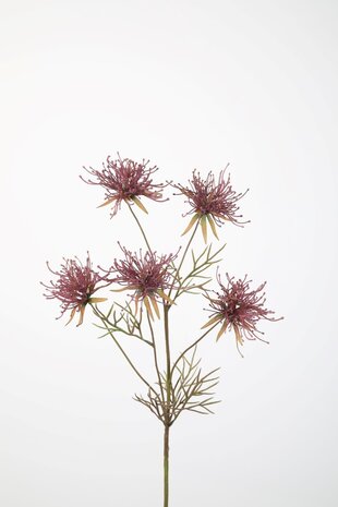 Zijden kunstbloem Grevillea Spray 74cm Zijden kunstbloem Grevillea Spray 74cm