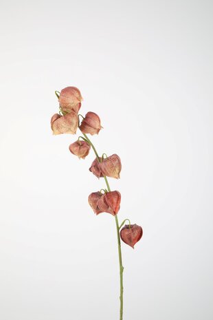 Zijden kunstbloem Physalis paars Zijden kunstbloem Physalis paars